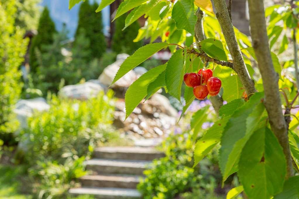 Chalet-Hotel Hermitage Chamonix Zewnętrze zdjęcie